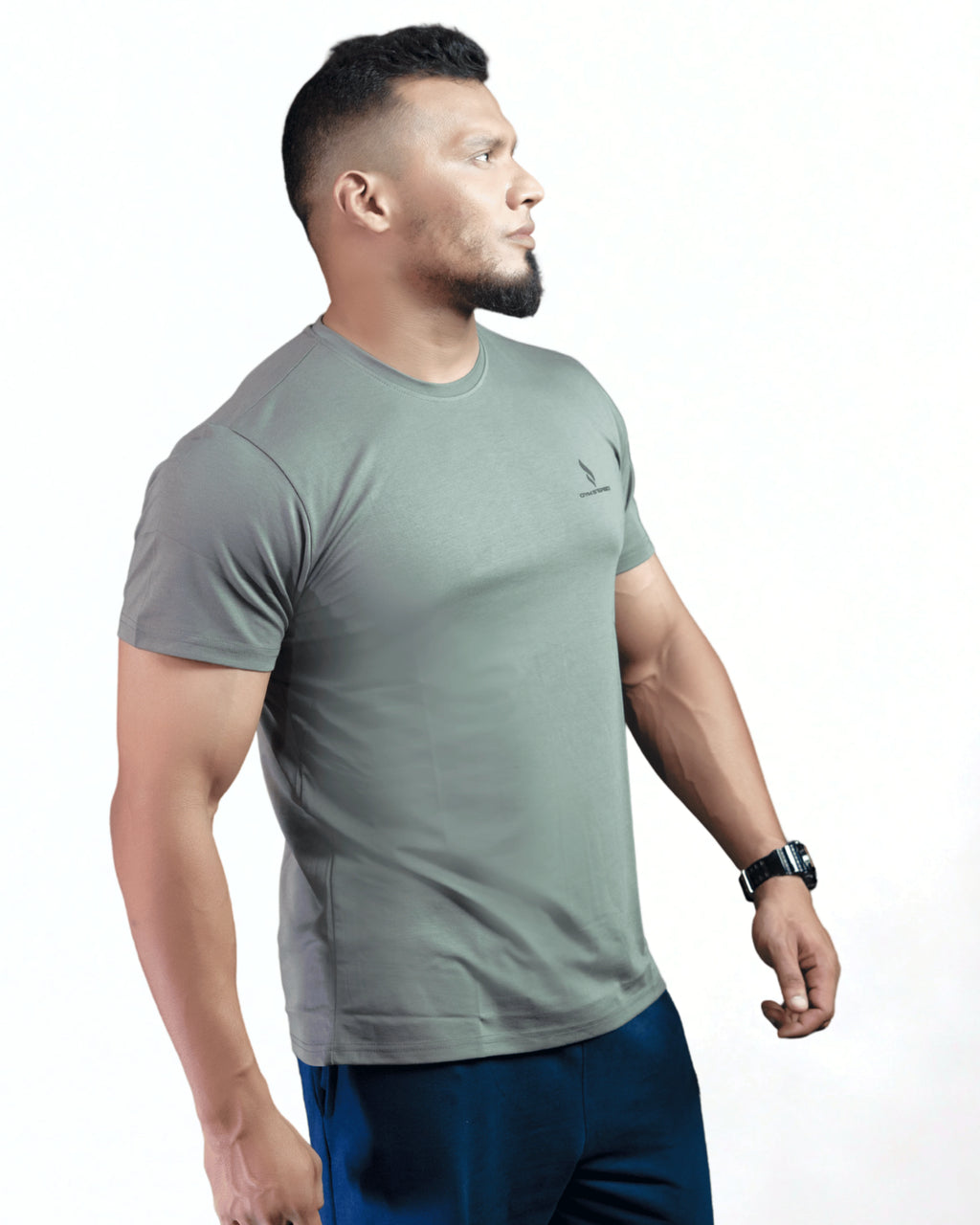 Flexline Tee (Black/Ash/Henna)